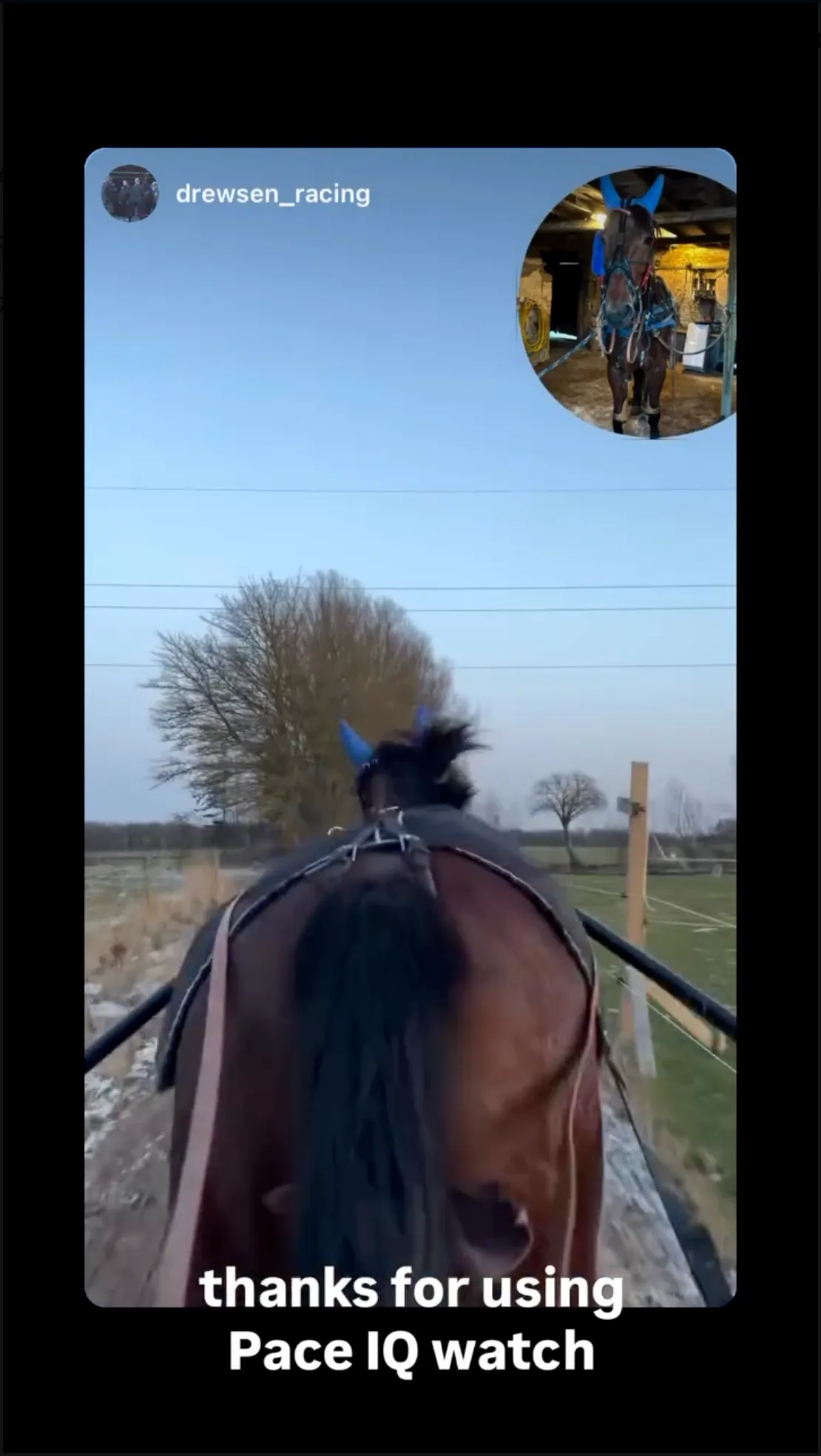 Horse training session with Pace IQ in use