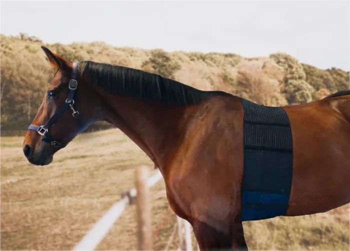 Real-time pace tracking on your wrist