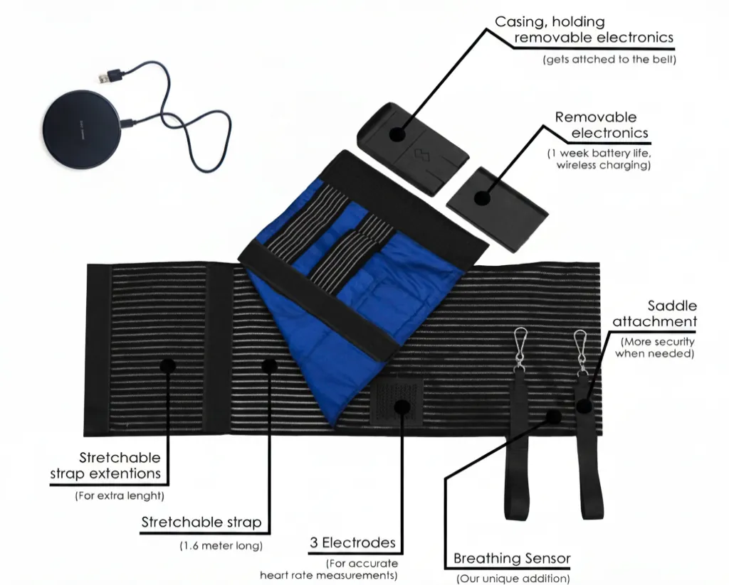 Composants du système Ceinture Intelligente