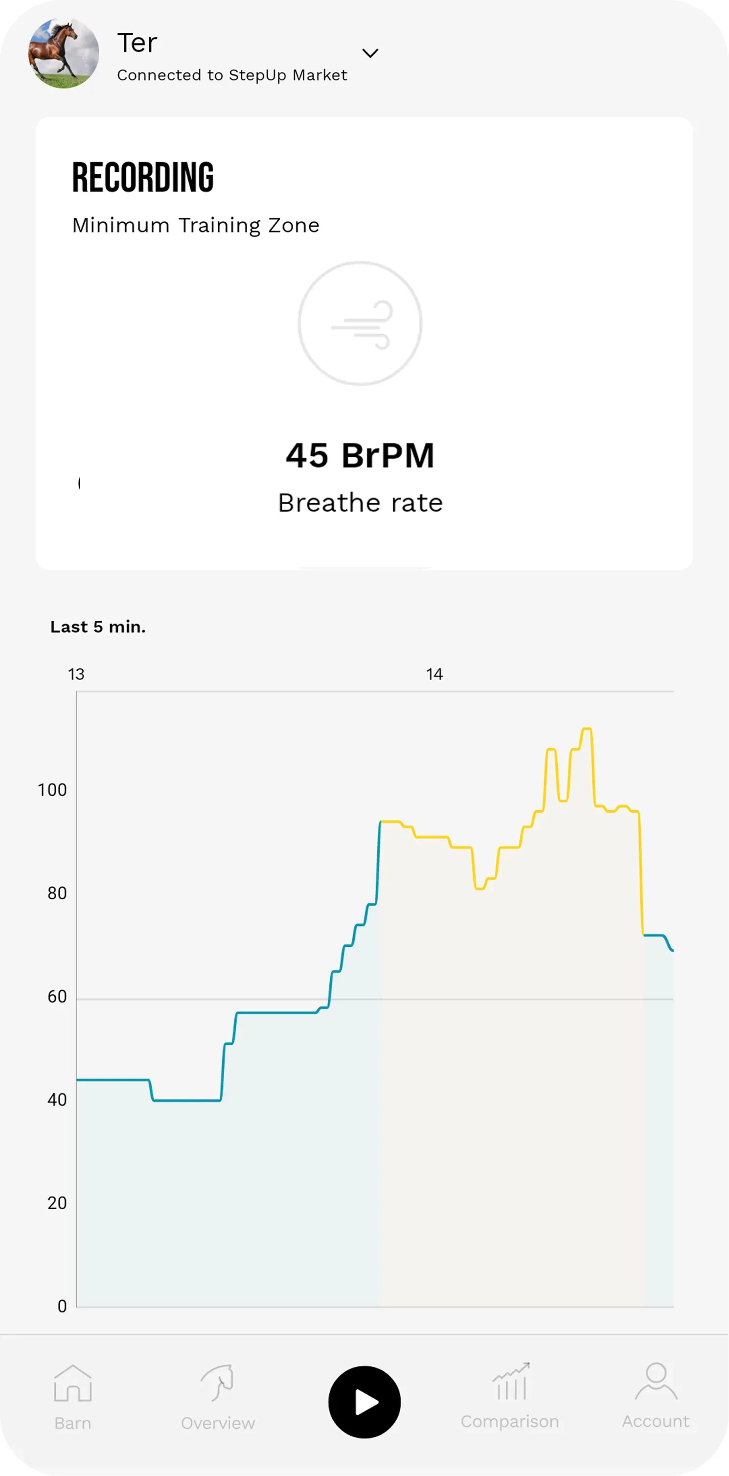 Problemi respiratori