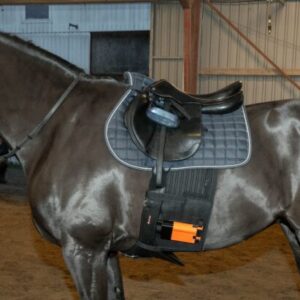 StepUp Horse Product device